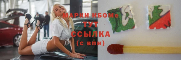 индика Бежецк