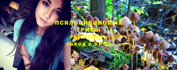 стаф Михайловка