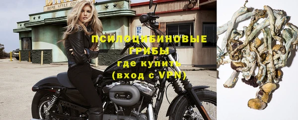 стаф Михайловка