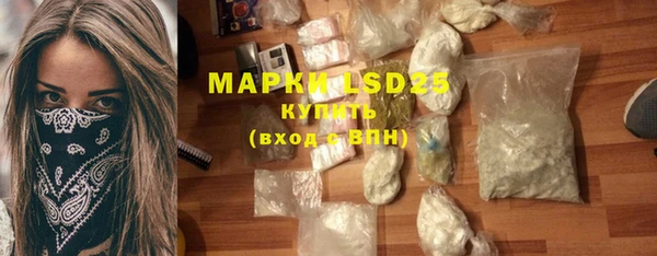 прущие грибы Надым