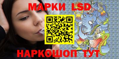 шишки Абакан