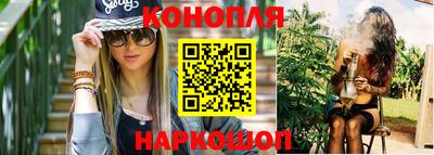 шишки Абакан