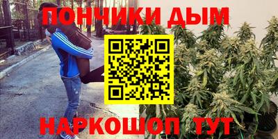 твердый Будённовск