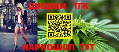 шишки Абакан