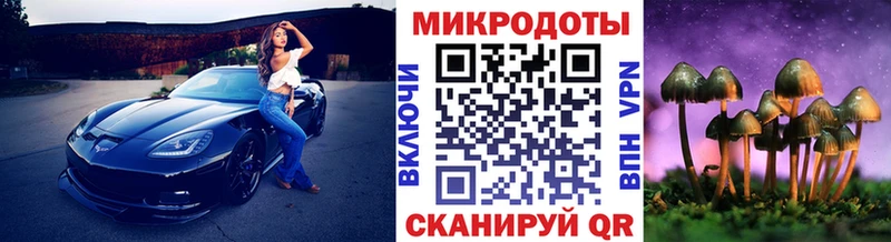 Псилоцибиновые грибы Psilocybine cubensis  Курган 