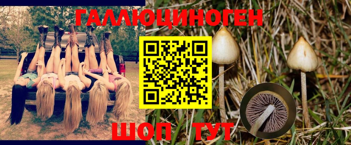 Галлюциногенные грибы ЛСД  Курган  Галлюциногенные грибы Cubensis 