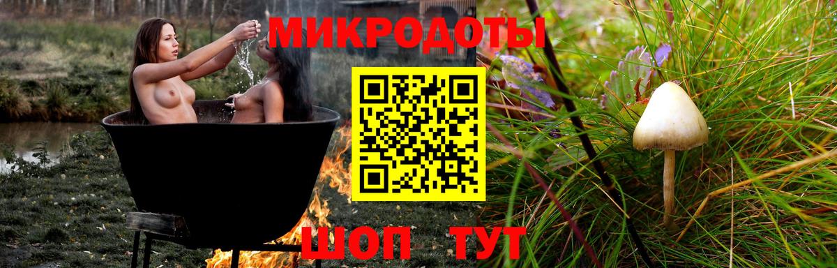 Псилоцибиновые грибы GOLDEN TEACHER  Вход с VPN  Галлюциногенные грибы Magic Shrooms  Курган 